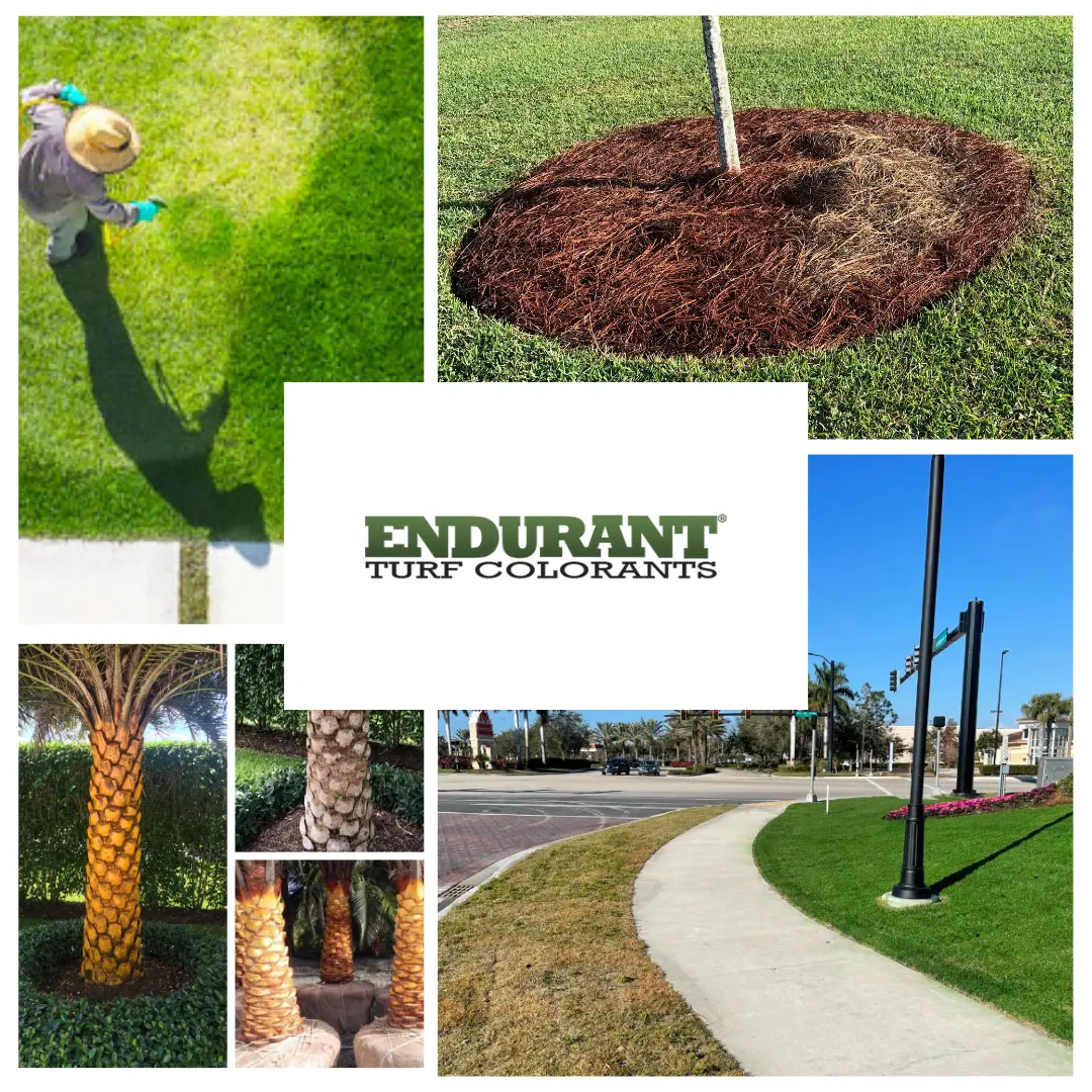 Productos Endurant